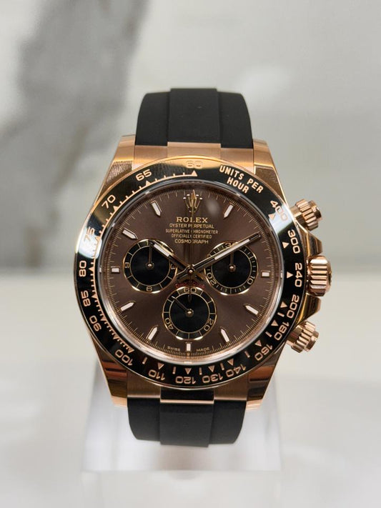 Rx Daytona / Chocolate Oysterflex