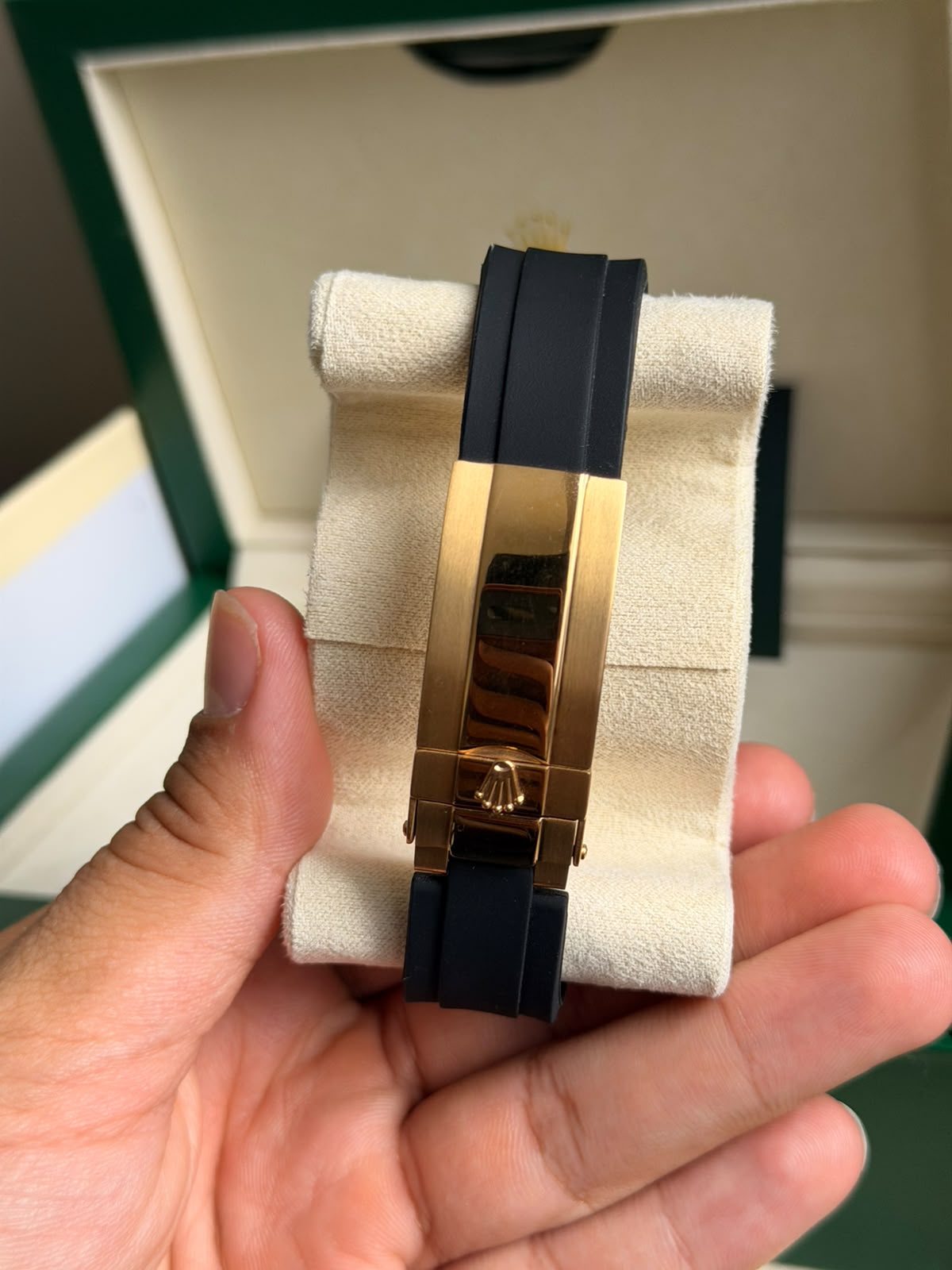 Rx Daytona / Gold Azul-Turquesa